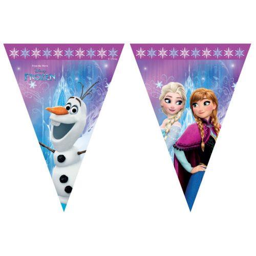 Disney Frost Nordlys Flag Banner - Kidzy.dk